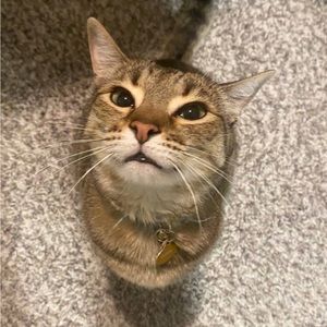 Meet your Posher, Erin